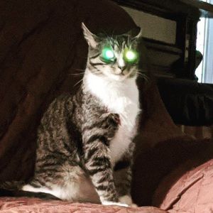 Meet your Posher, Abiagail